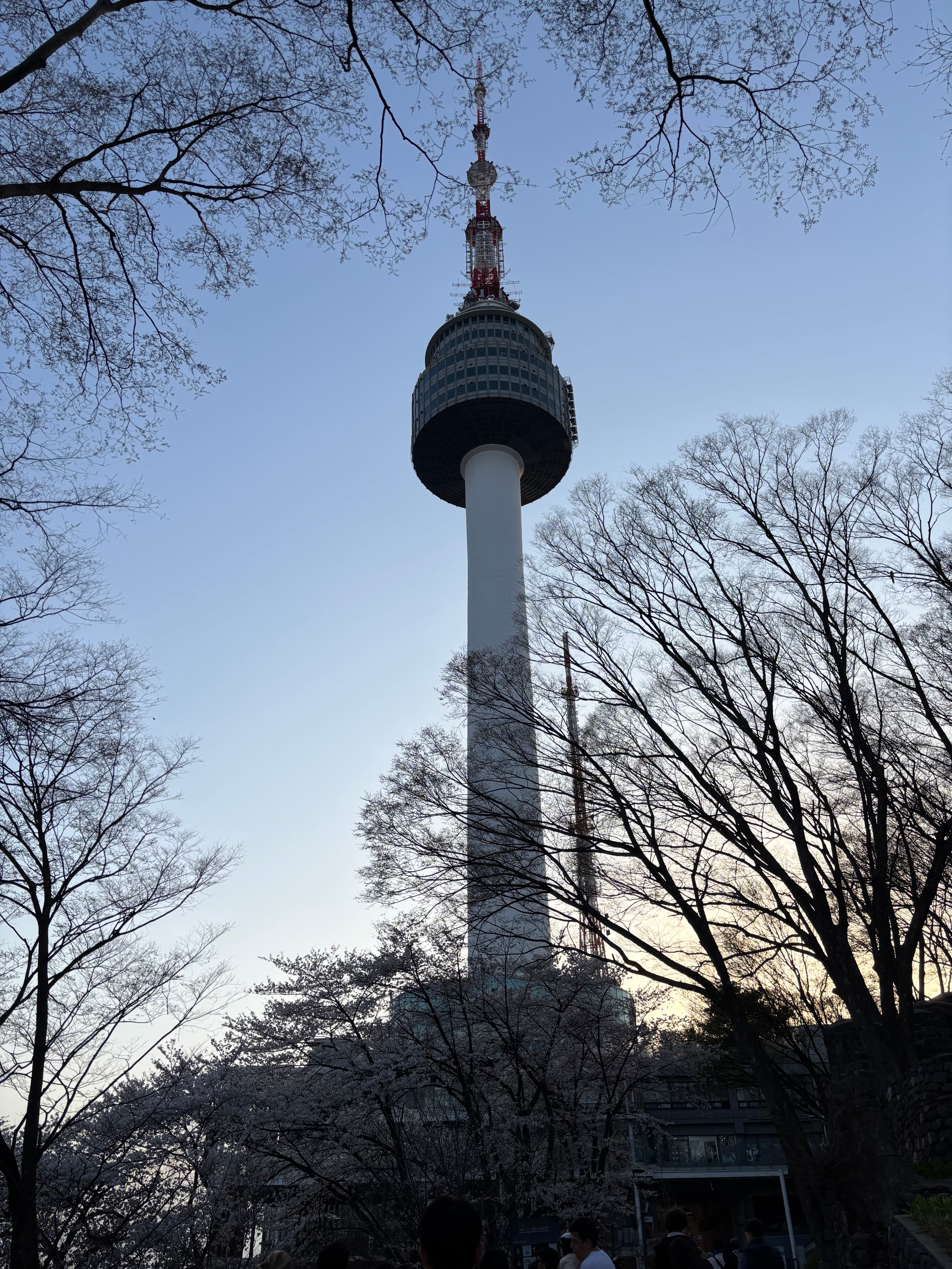 N Tower